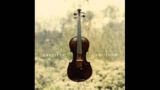 Saltillo  Ganglion Full Album [upl. by Swithin]