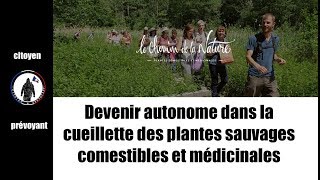 5 plantes sauvages comestibles et médicinales pour lautonomie [upl. by Brout221]