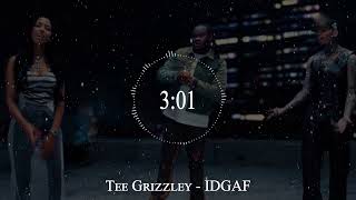 Tee Grizzley  IDGAF [upl. by Airbma]