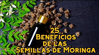 25 Beneficios de las Semillas de Moringa [upl. by Grodin]