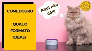 Comedouro para gatos QUAL O FORMATO MAIS ADEQUADO [upl. by Lister]