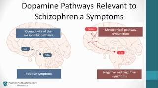 Psychopharmacology Antipsychotics amp The Dopamine Hypothesis [upl. by Azarria]