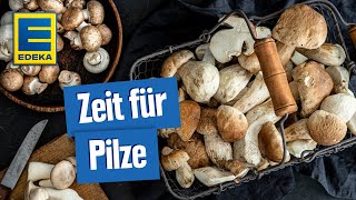 Leckere PilzRezepte  Gerichte mit Pfifferlingen Champignons Steinpilzen und Co [upl. by Fernandina]