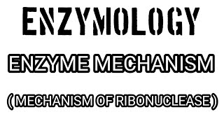 EnzymologyMechanism of Ribonuclease [upl. by Tarfe167]