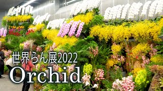 【4K Orchid】Japan Grand Prix International Orchid and Flower Show 2022世界らん展2022 4K Orchid [upl. by Vick]