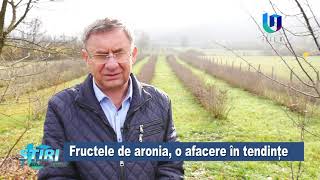 De unde vin fructele de aronia din sucurile Zemos [upl. by Rufena]