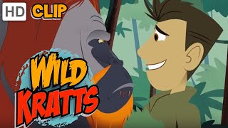 Wild Kratts  Orangutan Approved [upl. by Jarl750]