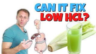 Can Celery Juice Help Low Stomach Acid [upl. by Kared67]