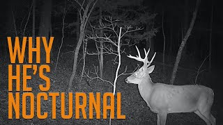 Three Reasons Why Your Bucks are Nocturnal [upl. by Tipton118]