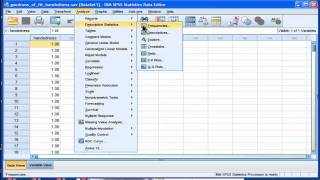 Test the Difference Between Percentages  SPSS [upl. by Hellman459]