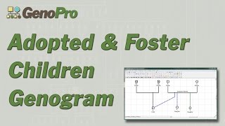 Adopted amp Foster children in genograms [upl. by Sibeal]