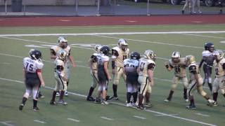 ChartiersHouston D1 Youth Football vs Albert Gallatin [upl. by Kienan456]