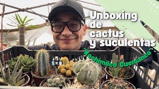 Unboxing de CACTUS y SUCULENTAS  Xochimilco Cuemanco [upl. by Rodolphe]