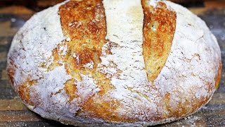 Crusty NoKnead Artisan Bread  How to make noknead bread [upl. by Akerdnahs]