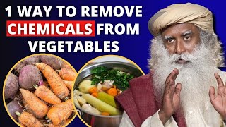 100 USEFUL  REMOVE CHEMICAL FROM VEGETABLES AND FRUITS  SADHGURU [upl. by Atikkin684]