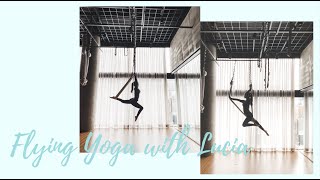 Workout Series Jules Flying Yoga with Lucia  플라잉 요가 레슨 브이로그 [upl. by Eniar]