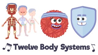 Twelve Body Systems Song [upl. by Betthel133]