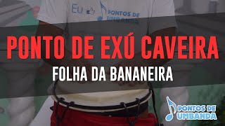 Ponto de Exú Caveira  Folha da bananeira  Tião Casemiro [upl. by Zeculon280]