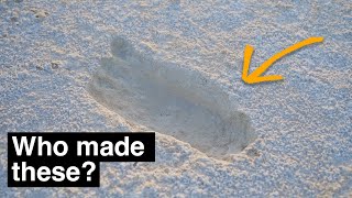 The worlds most heavily debated footprints [upl. by Latnahc]