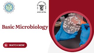 Basic Microbiology [upl. by Scheer]