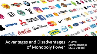 Advantages and Disadvantages of Monopoly Power I A Level and IB Economics [upl. by Mckenna244]