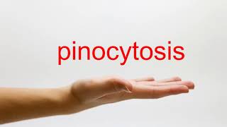 How to Pronounce pinocytosis  American English [upl. by Aiuqal]