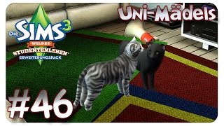 Zwei Samtpfoten bereichern unser Leben 46 Die Sims 3  Uni Mädels  Lets Play [upl. by Aneleasor]