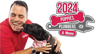 Puppies and Plumbers to Benefit Houston Pets Alive [upl. by Adnot122]