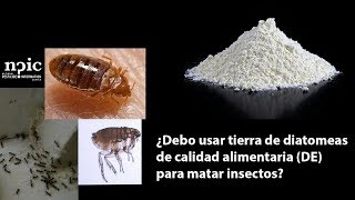 ¿Debo usar tierra de diatomeas de calidad alimentaria DE para matar insectos [upl. by Mikihisa]