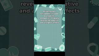 Quiz Time  Atipamezole pharmaquiz anaesthetics [upl. by Asoramla655]