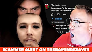 Scam Alert on TheGamingBeaver YouTube Channel [upl. by Noxas408]