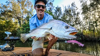 Estuary Fishing SEQ  Jewfish On SWIMPRAWNS [upl. by Elsinore288]