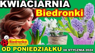 BIEDRONKA  Oferta Promocyjna od Poniedziałku 08012024  Kwiaty i rośliny doniczkowe [upl. by Orlantha]