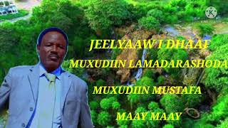 hees cusub muxudiin mustaf maay jeelyaw i dhaaf maay maay muxudiin lamadaarashooda jeelyaaw i DHAAf [upl. by Randa]