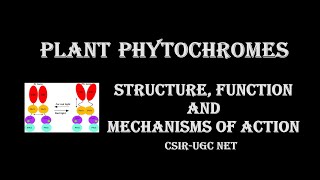 Phytochromes Structure Function and Mechanisms of Action [upl. by Aznofla693]