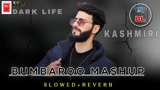 BumBroo Mashup Maahi Aamir  Adil Dks Super Hit Kashmiri Song Slowed amp Reverb  Use headphone [upl. by Razid860]