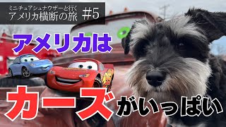 【ルート66】愛犬とアメリカ横断⑤〜アメリカはカーズがいっぱい！〜 [upl. by Drofnats773]