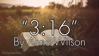 “316”  by Anne Wilson  Lyrics [upl. by Enenaej564]