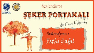 Şeker Portakalı  Sesli Kitap [upl. by Lorac422]