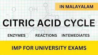 CITRIC ACID CYCLE detailed explanation in Malayalam  Learn In [upl. by Kcirdled]