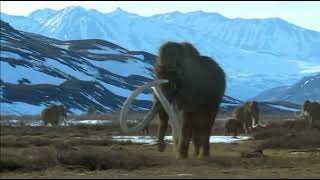 elasmotherium vs mammoth [upl. by Yeliab]