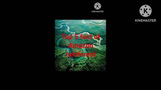 top 5 fact of Amazon rainforest [upl. by Assiron]