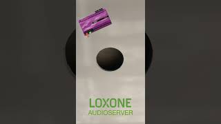 AUDIOSERVER loxone Multiroom loxone умныйдом сборкащитов [upl. by Nnaesor583]