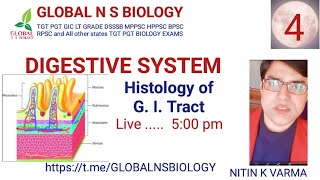 Digestive system Lecture 4 [upl. by Katonah]