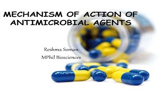 شرح محاضرة الميكرو antimicrobial agents اولى تمريض [upl. by Annaohj]