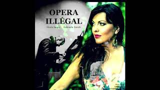 Vissi darte  OPERA ILLÉGAL Gabriella Zanchi Nicola Sergio [upl. by Ridgley]