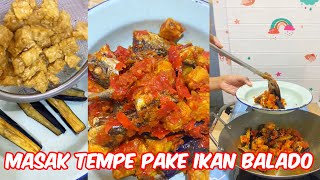 Goreng tempe pake ikan dan terong balado [upl. by Niraa267]