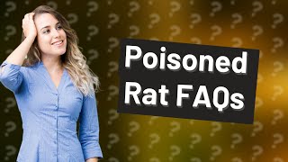 Is a poisoned rat still alive [upl. by Cuthbertson]