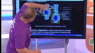 Human Nutrition  Mechanical amp Chemical Digestion [upl. by Drofnelg]