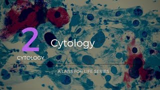 Cytology [upl. by Beata151]